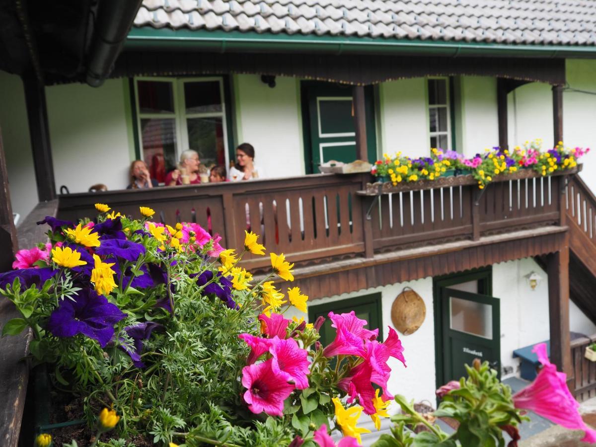 Sachserhof Ferienwohnungen In Sachsenburg 外观 照片