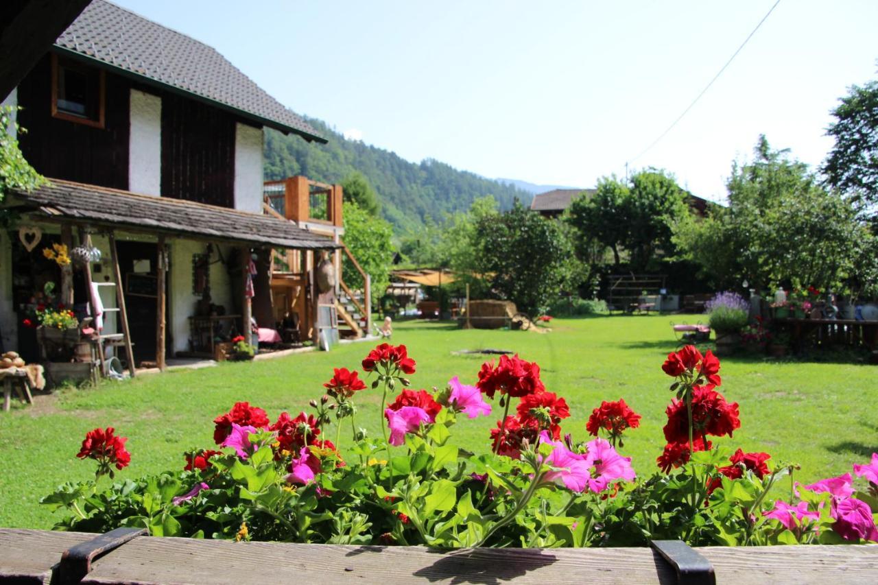 Sachserhof Ferienwohnungen In Sachsenburg 外观 照片