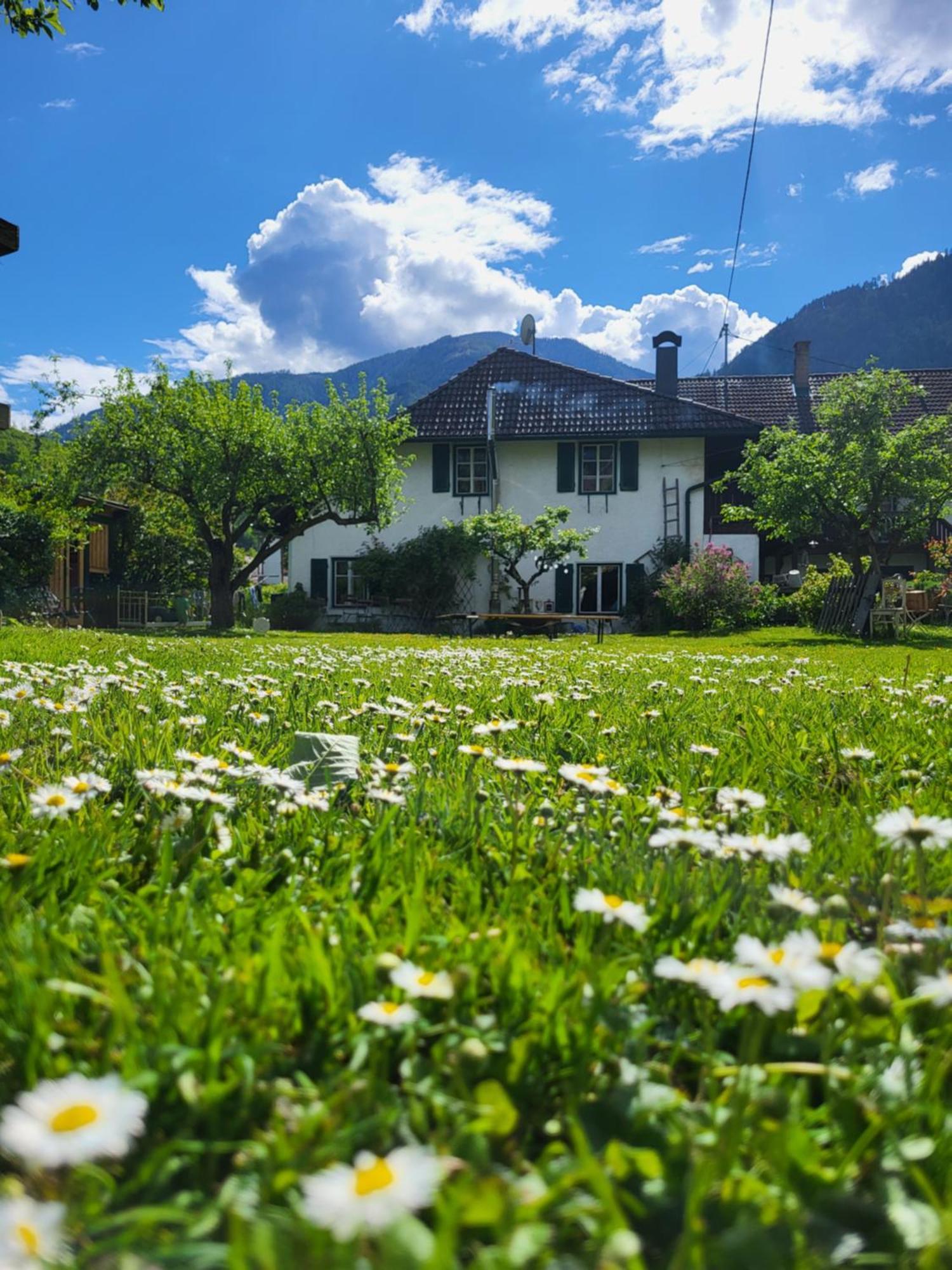Sachserhof Ferienwohnungen In Sachsenburg 外观 照片